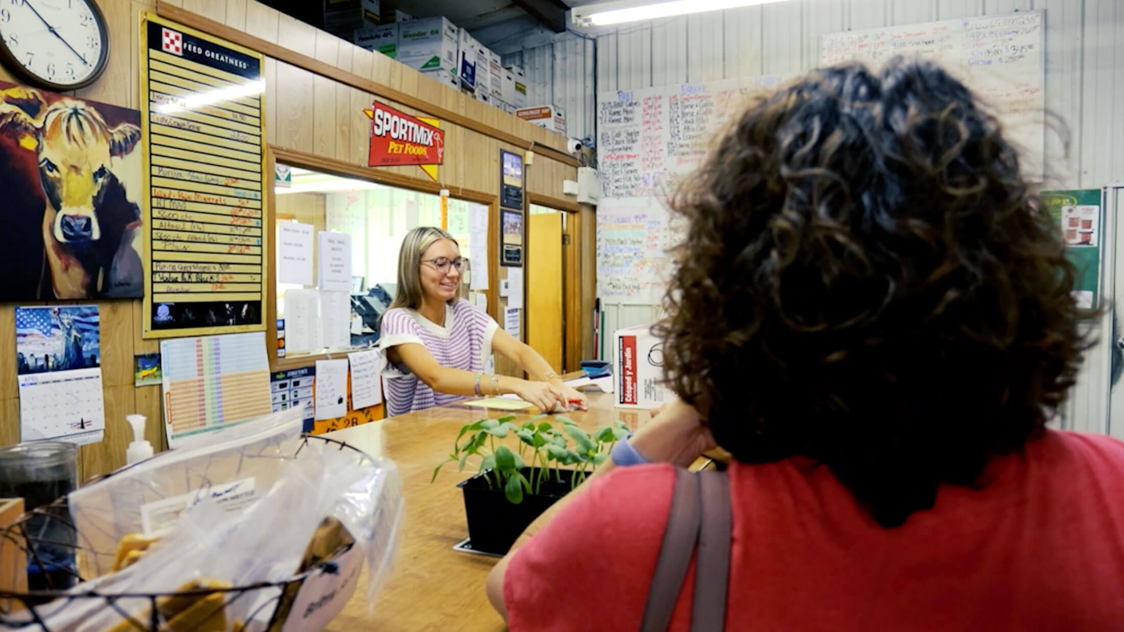Friendly Hi Grade staff helping a customer at the counter